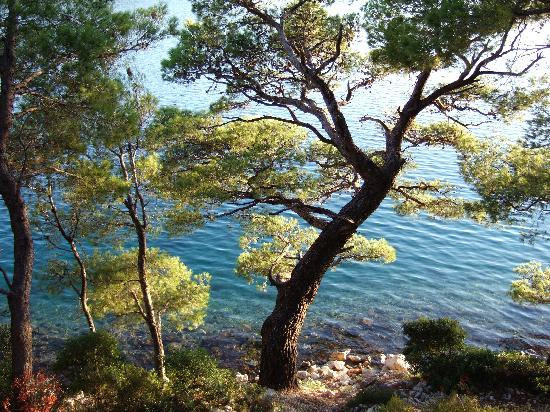 Mljet National Park景点图片