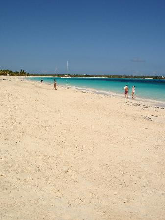 Rendezvous Bay Beach-Sandy Ground必去景点