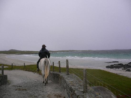 The Point Equestrian Centre and Pony Trekking景点图片