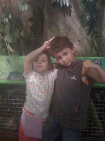 Queensland Museum Tropics-汤斯维尔必去景点