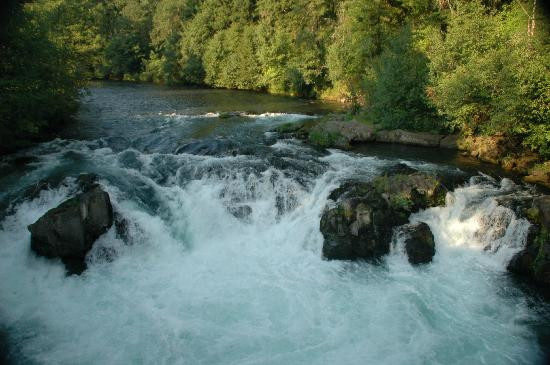 Wet Planet Rafting and Kayaking-White Salmon必去景点