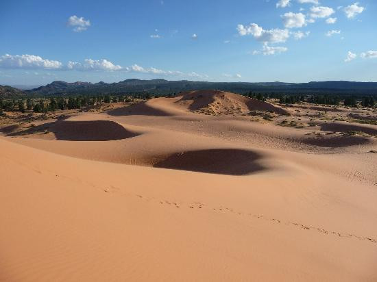 Coral Pink Sand Dunes State Park-卡纳布必去景点