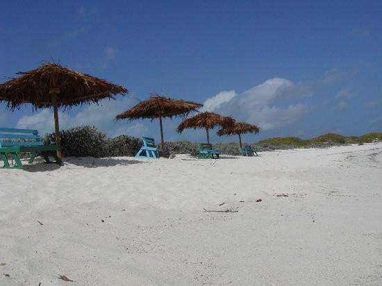 Anegada Island-Anegada必去景点