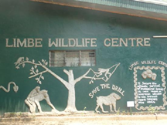 Limbe Wildlife Centre-林贝必去景点