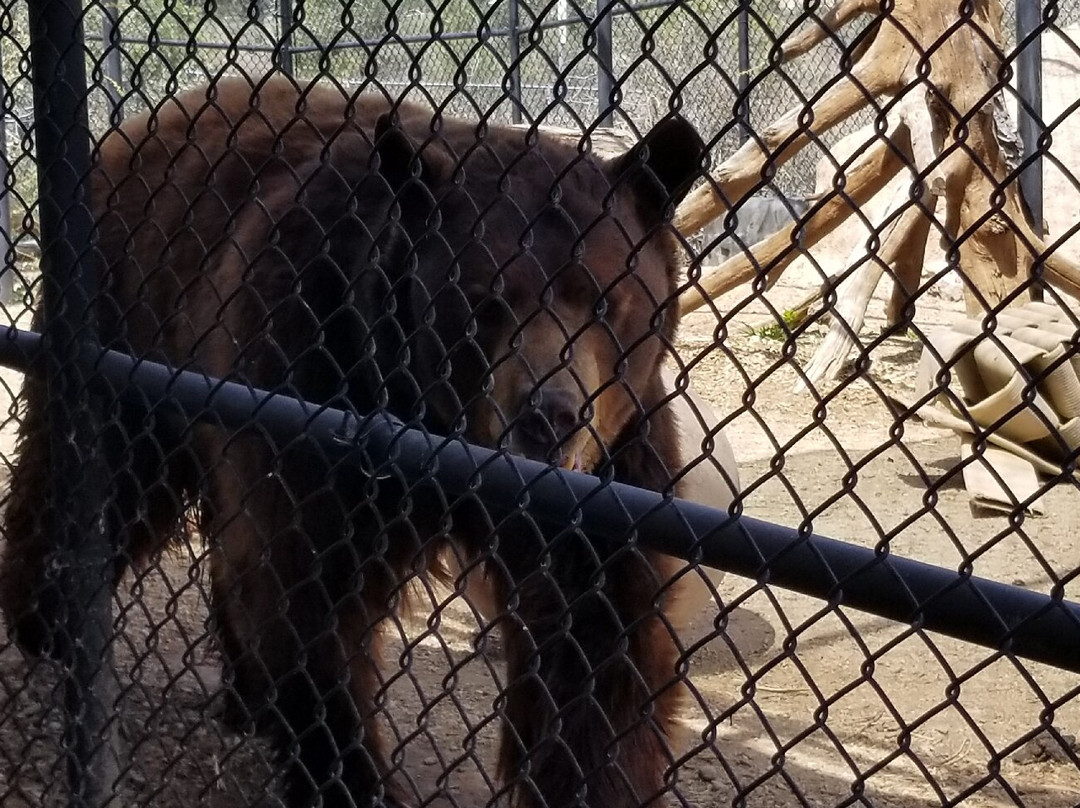 Heritage Park Zoo-普雷斯科特必去景点