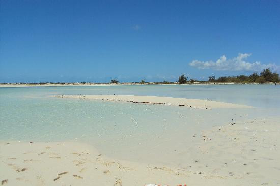 Caicos Dream Tours-普罗维登西亚莱斯必去景点