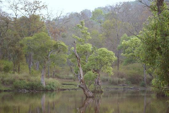 BRT Wildlife Sanctuary景点图片