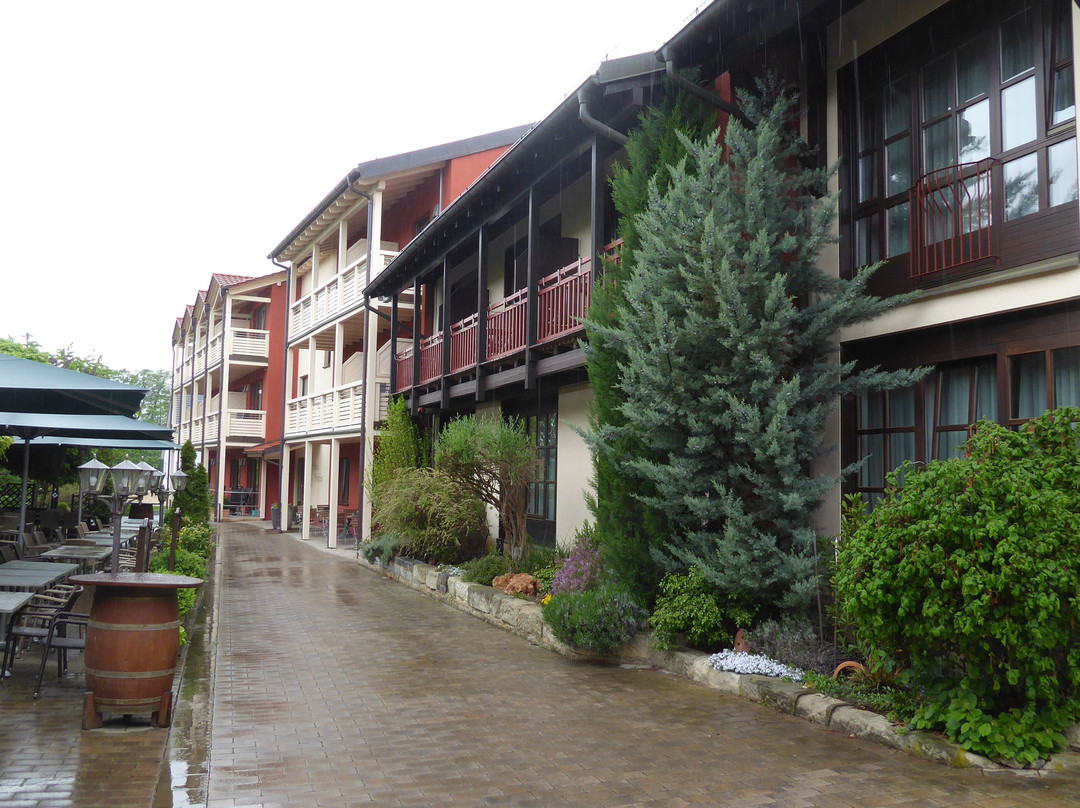 Hotel Brauerei Gasthof Hohn主图