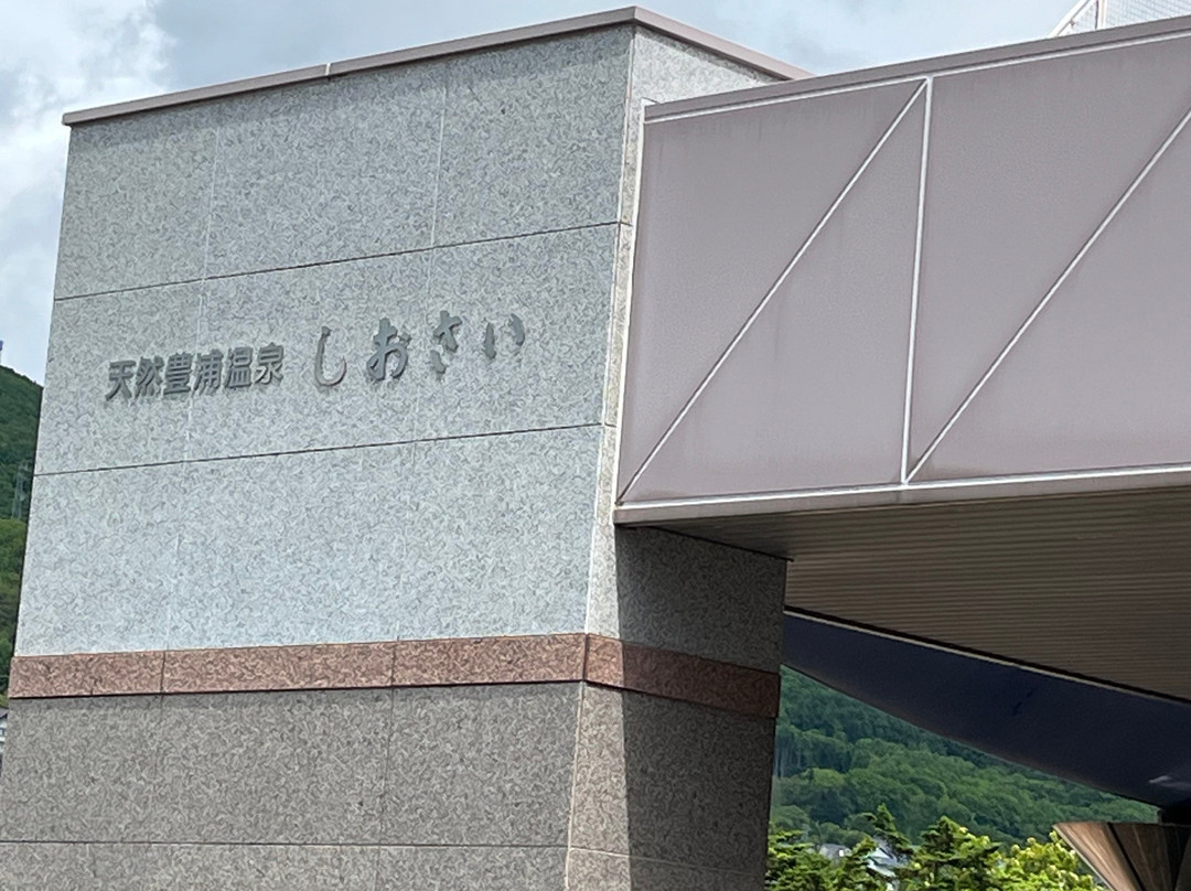 Tennen Toyoura Onsen Shiosai主图