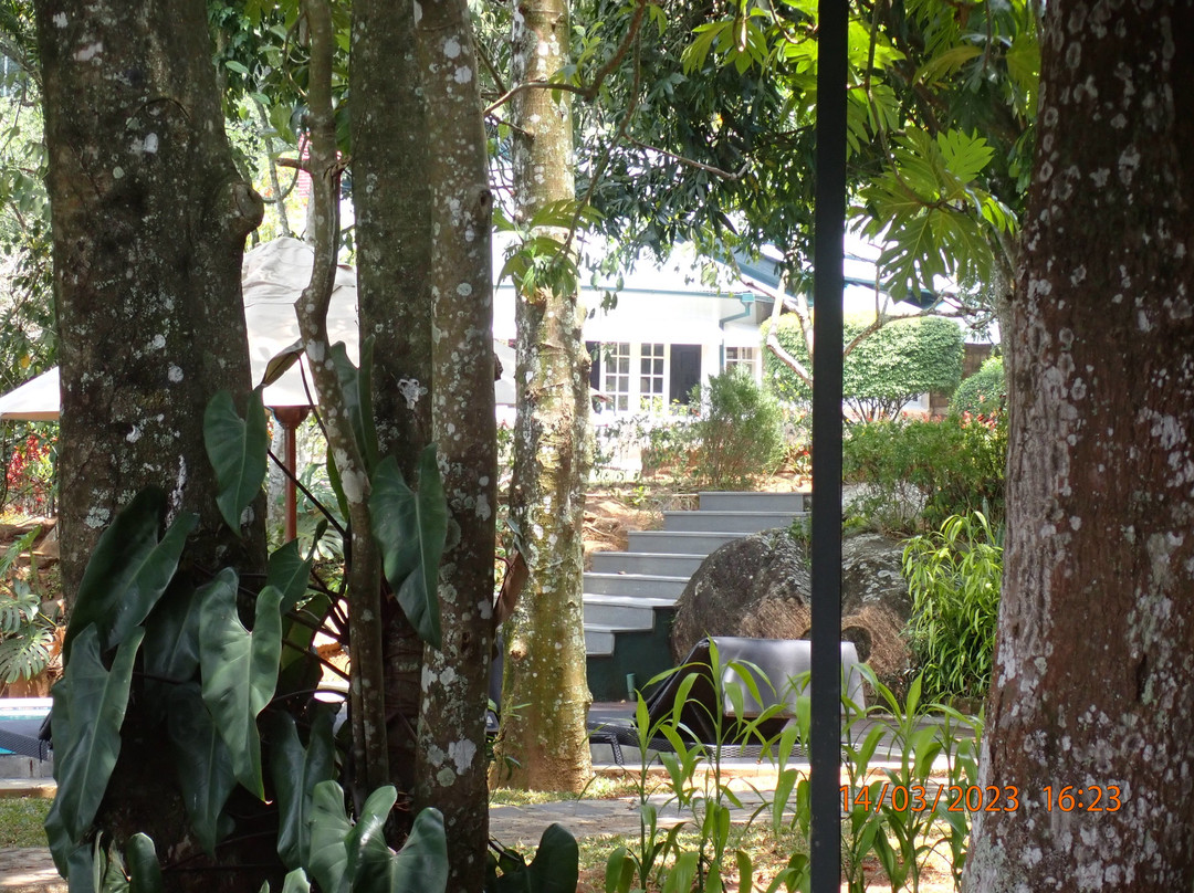 蒙巴顿简易别墅- 康提主图