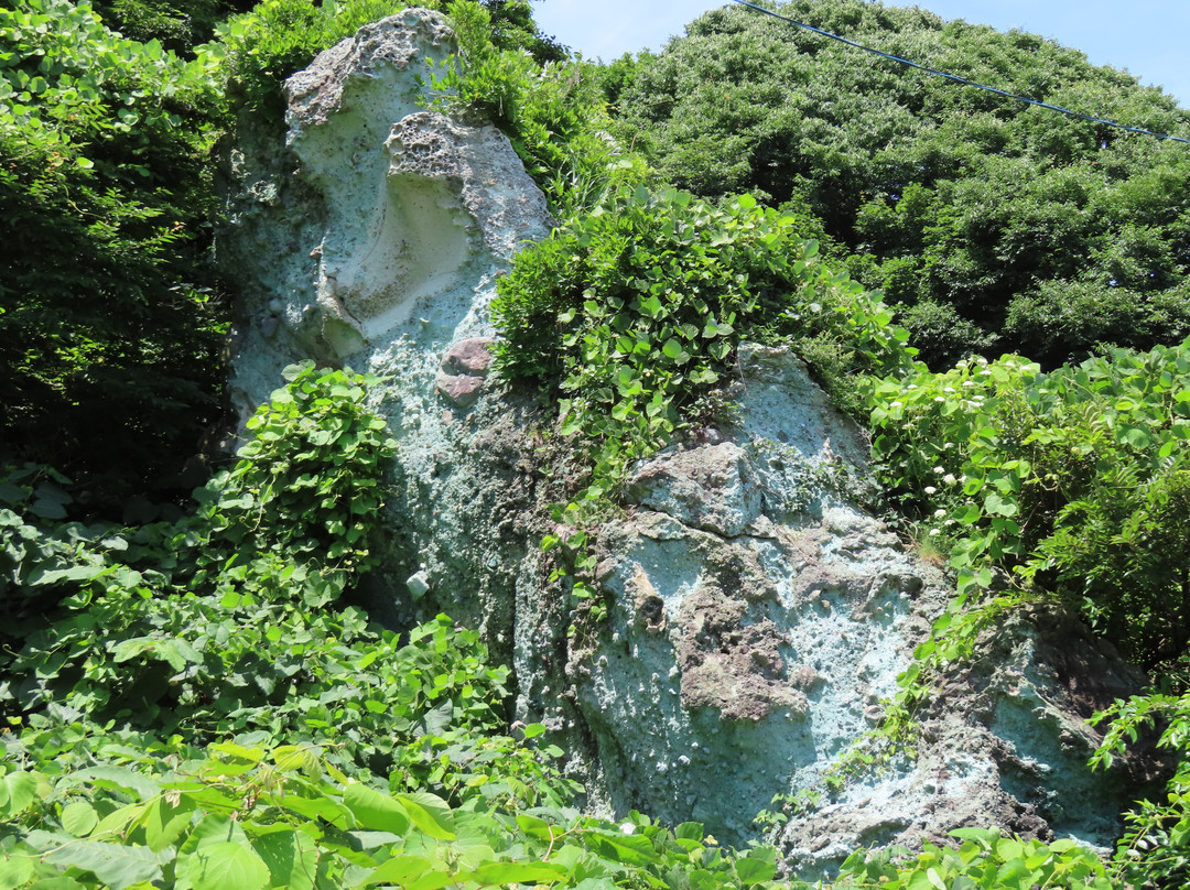 Tateyamasaki Green Tafu-男鹿市必去景点