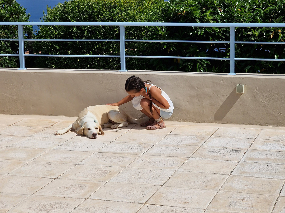 Mira Resort Maisonettes主图