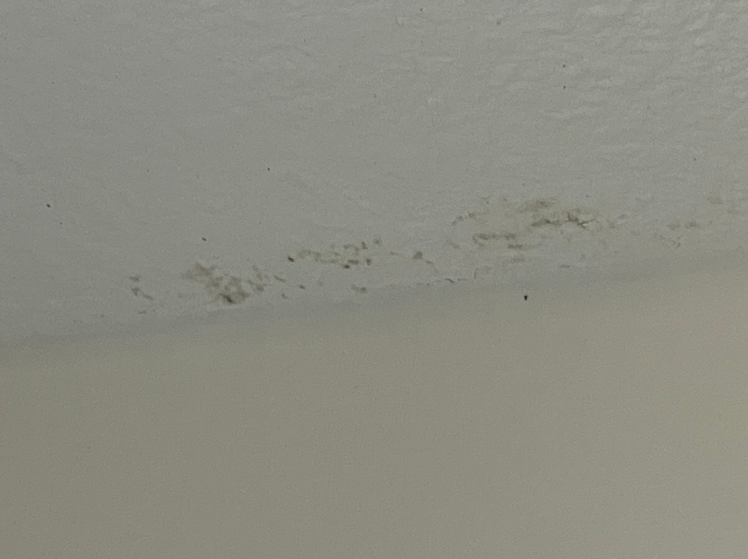 Hampton Inn Debary Deltona主图