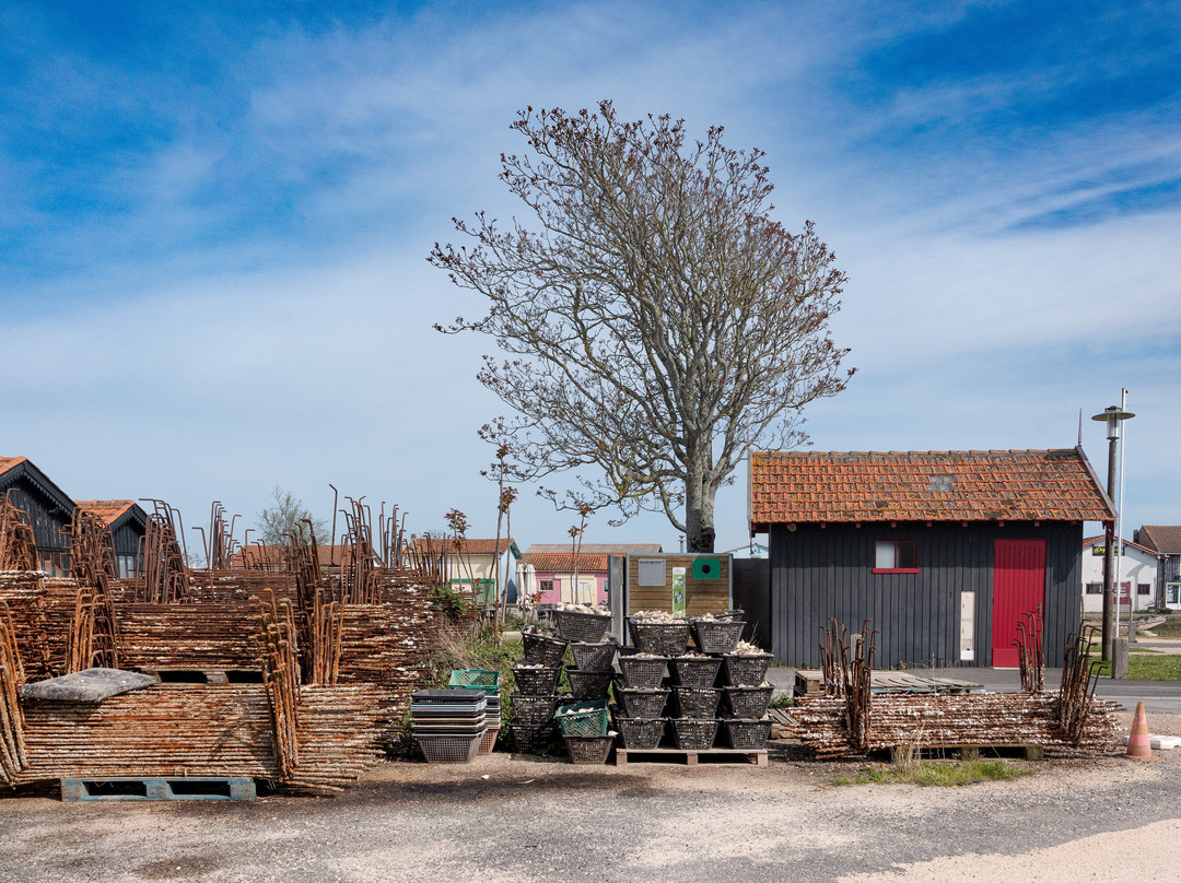 Port Ostréïcole De Marennes景点图片