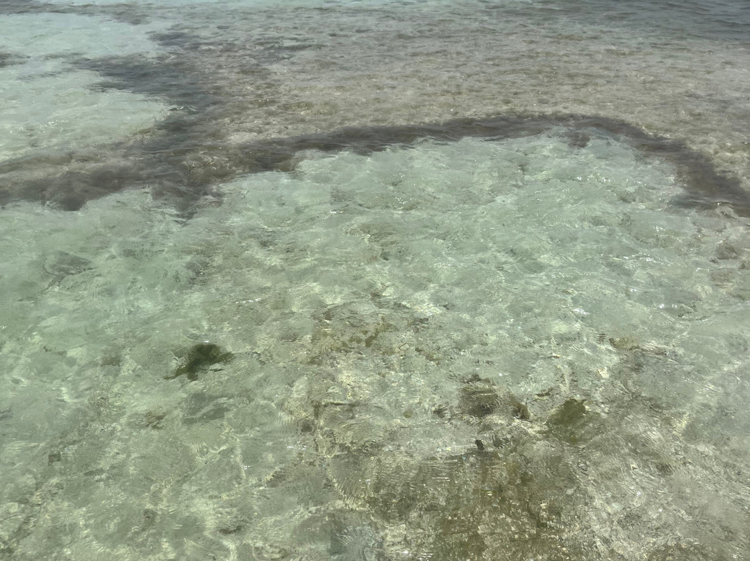 Fleurdo Eco-Excursion-Le Vauclin必去景点