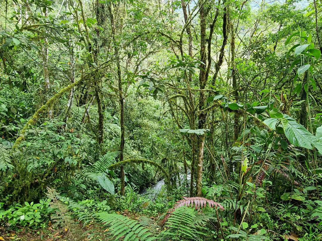 Finca Palmonte景点图片