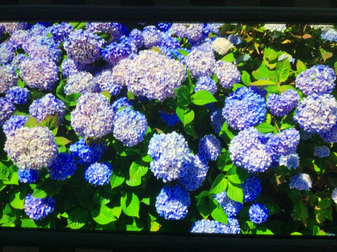 河流潮汐套房酒店主图