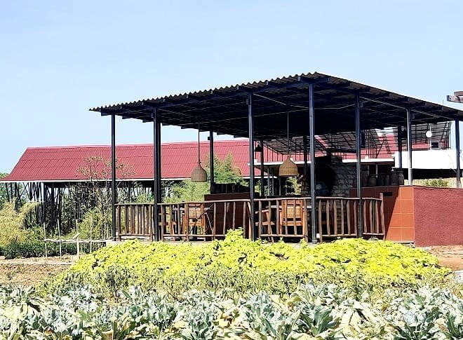 Tipai - Wildlife Luxuries主图