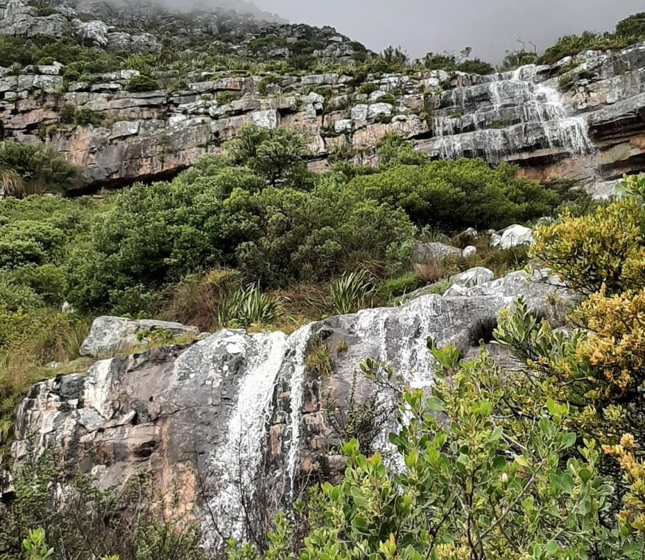 Table Mountain Treks and Tours景点图片