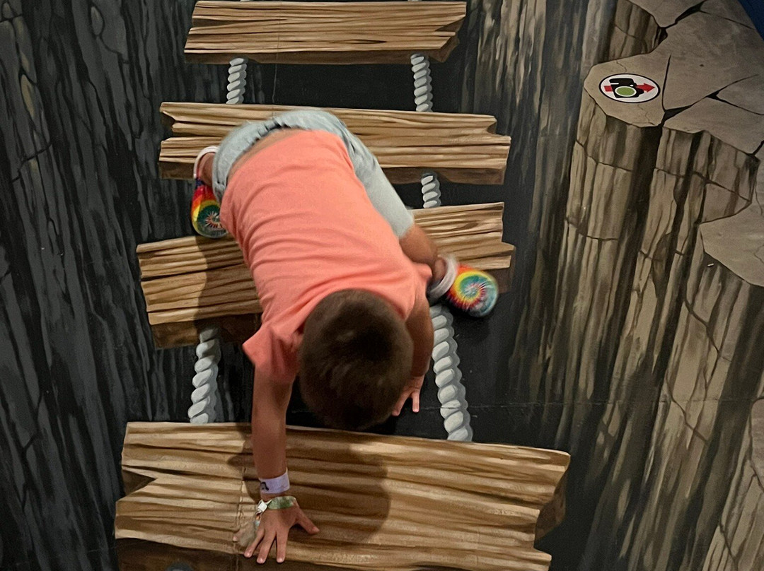 Tilt Pv A Tracy Lee Stum Museum-瓦拉塔港必去景点