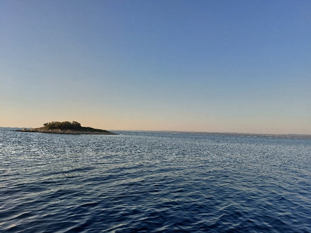 ARENA BOAT TOURS (Pula)-普拉必去景点