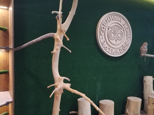 Soviny Dom  Anticafe-莫斯科必去景点