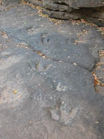 Phu Faek Forest Park-加拉信必去景点