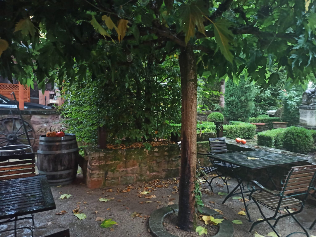 Weingut & Gastehaus GiwerGreif主图