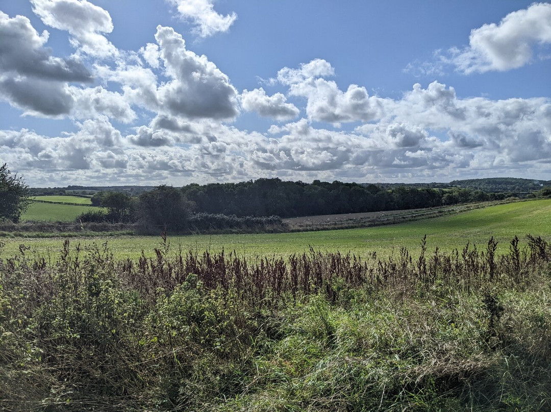 Chesterton Windmill景点图片