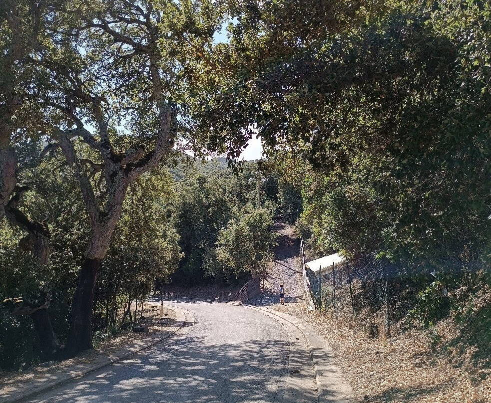 Museo dell'Ossidiana-Pau必去景点
