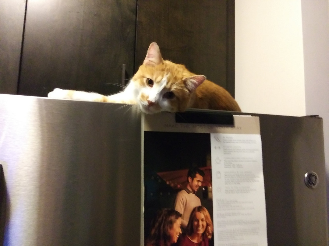 Residence Inn by Marriott Lancaster主图