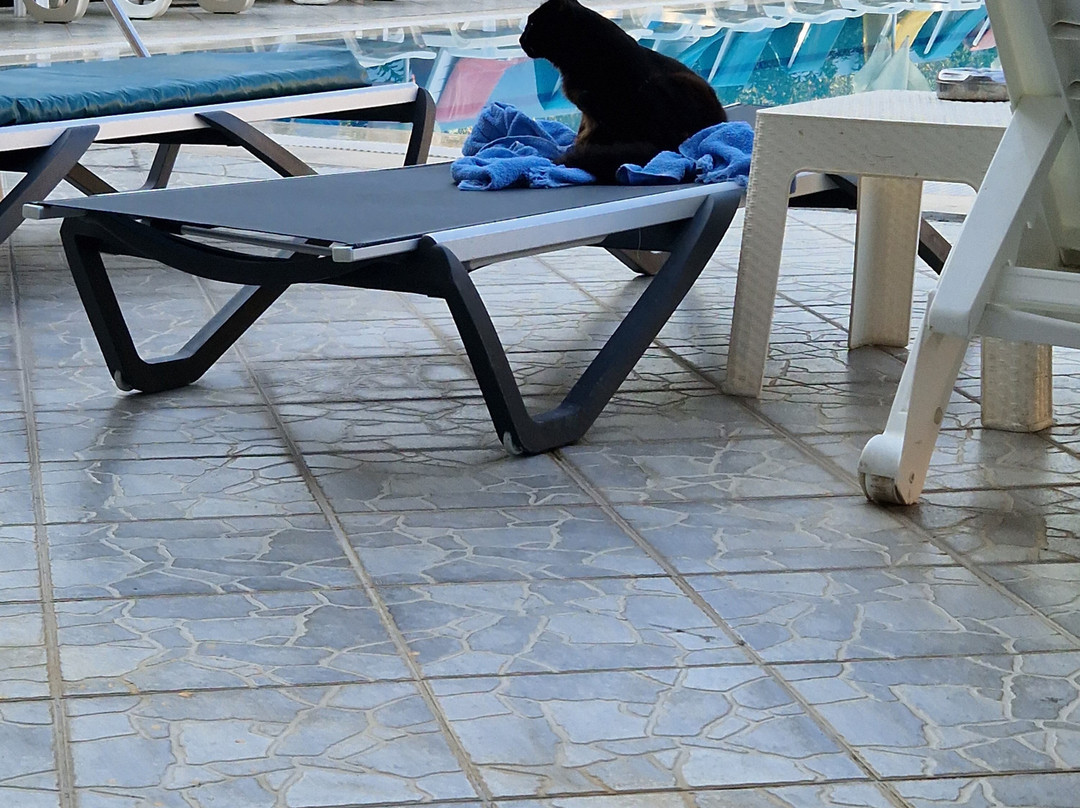 Club Sun Village Apartments主图