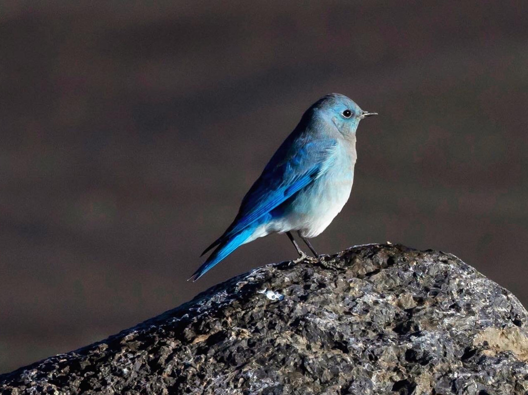 Fish Lake-Sevier必去景点