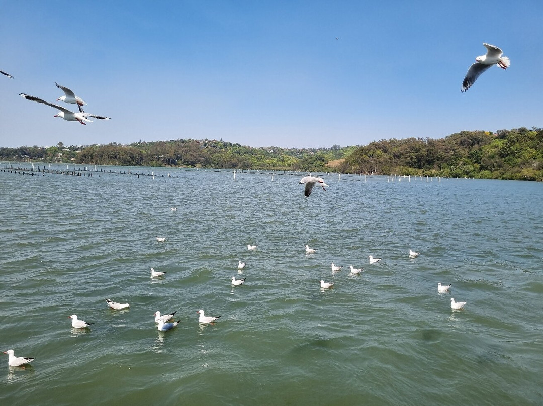 Catch a Crab-堤维德岬必去景点