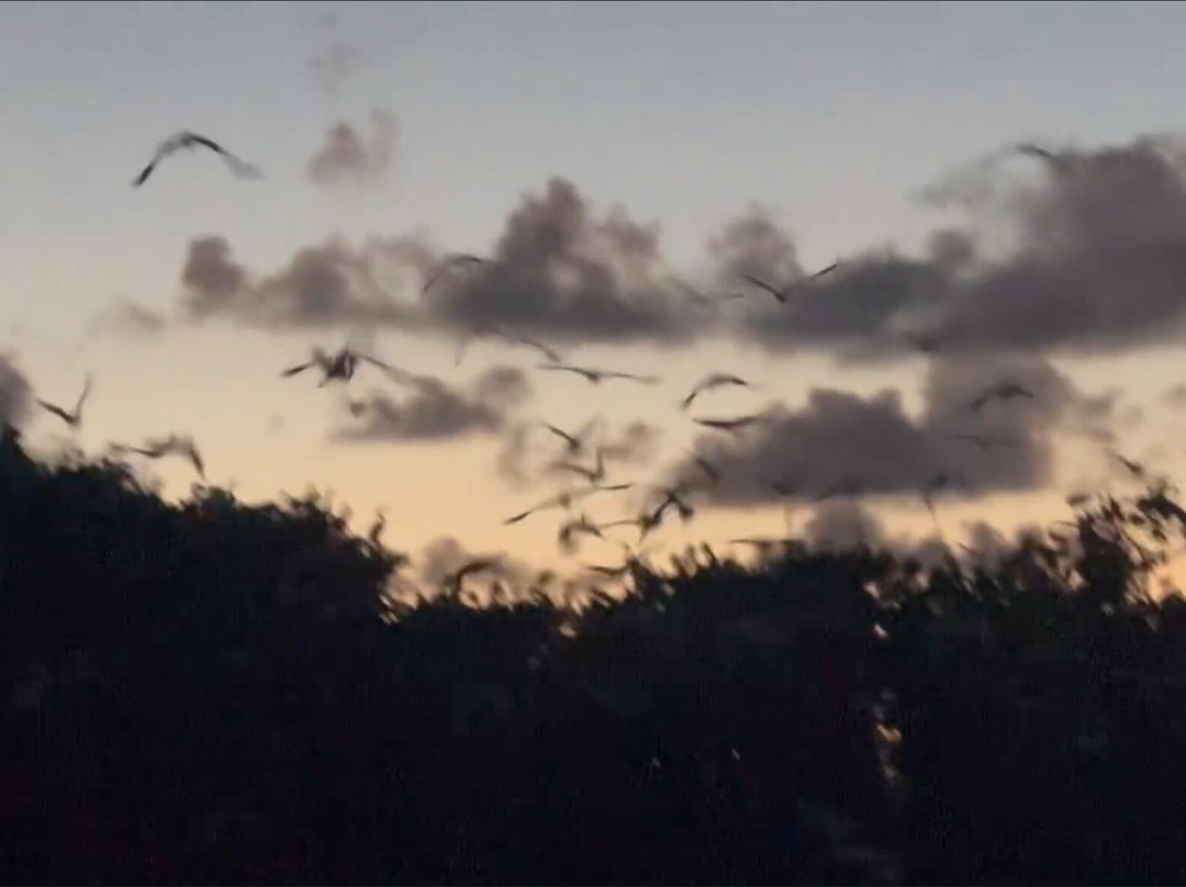 Parkway Motel & Marina主图