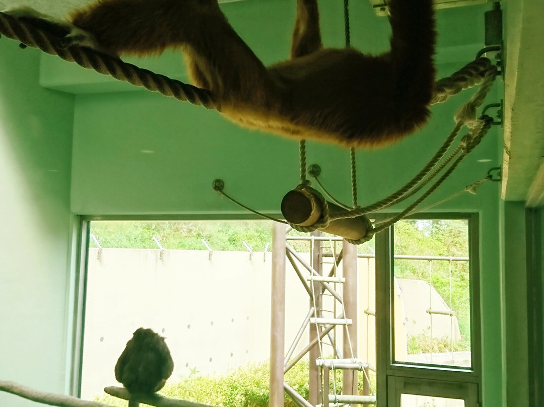 Fukuoka City Zoological Garden景点图片