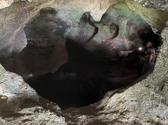 Bowcar Jeep/Buggy & Scooters Rentals & Guided Tours-拿骚必去景点