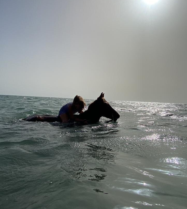 Ranch Yassmina Djerba La Douce景点图片