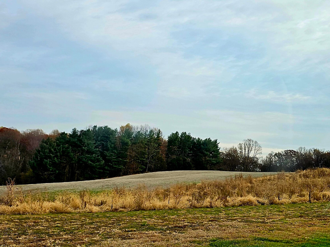 Joy in Hand Flower Farm-Forest Hill必去景点