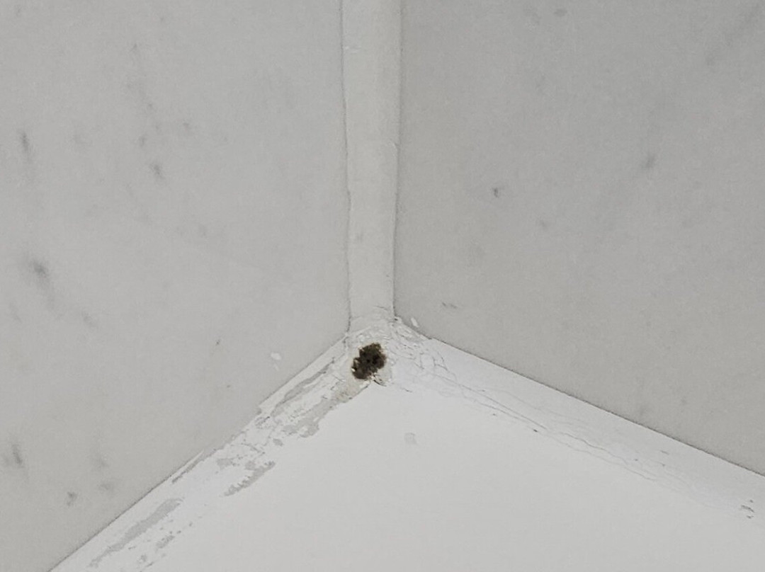 Red Roof PLUS+ Birmingham East - Irondale/ Airport主图