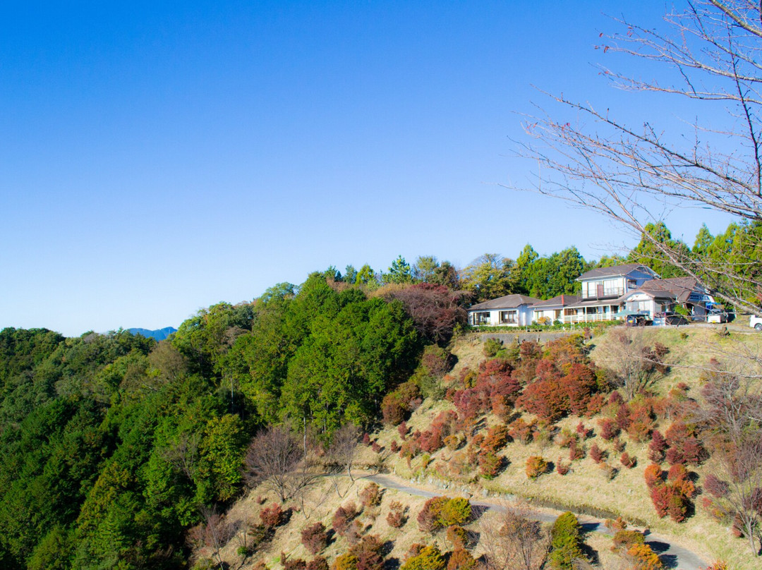 Sky Pension Doudan主图