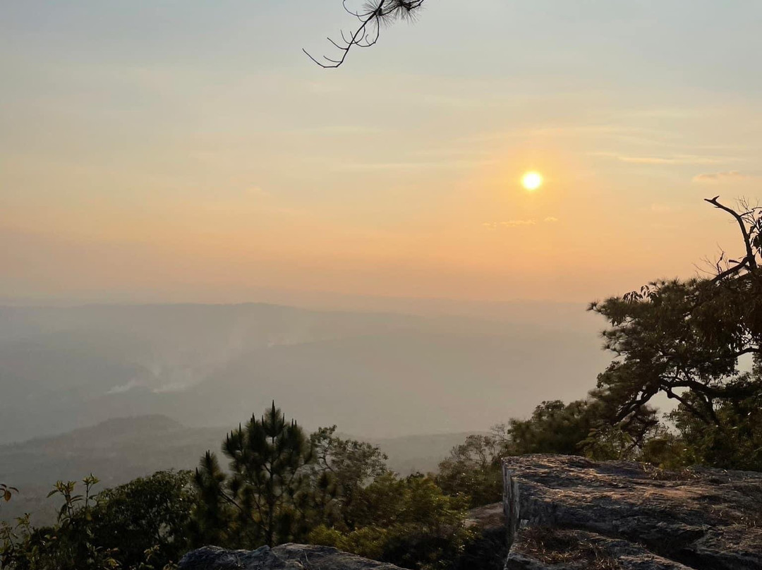 Phu Kradueng National Park景点图片