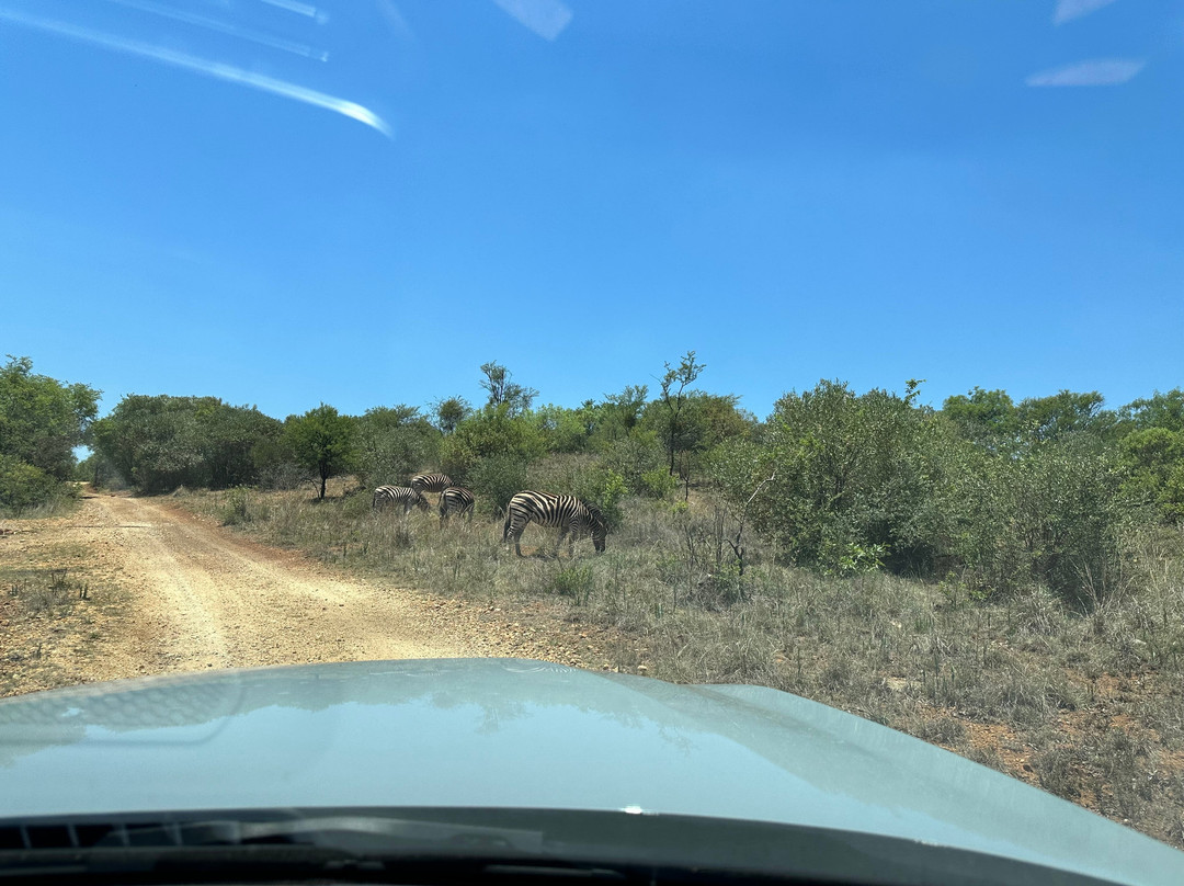 Tidimalo Lodge主图