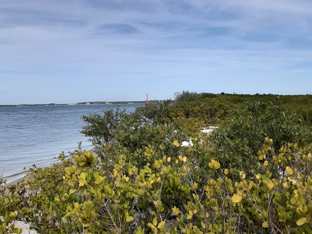 New Smyrna Town Beach景点图片