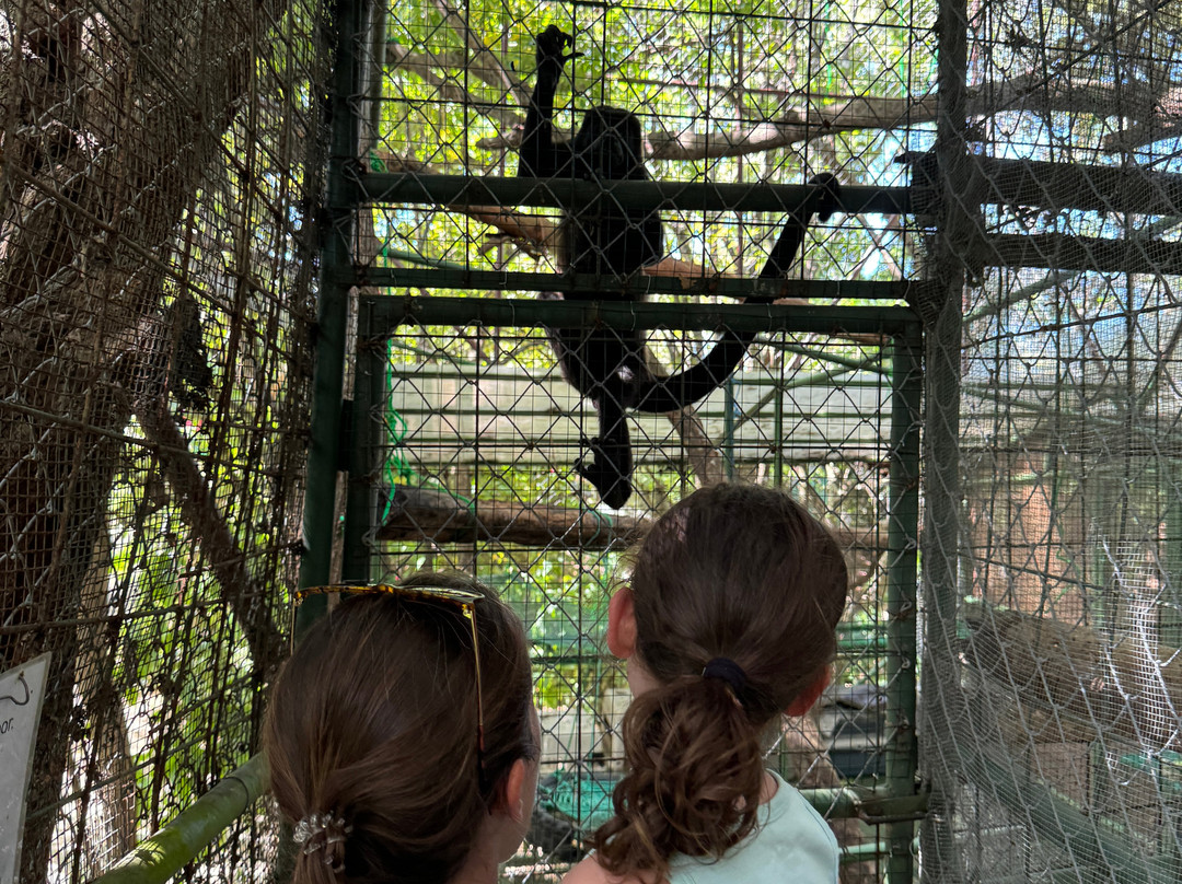 Sibu Wildlife Sanctuary景点图片