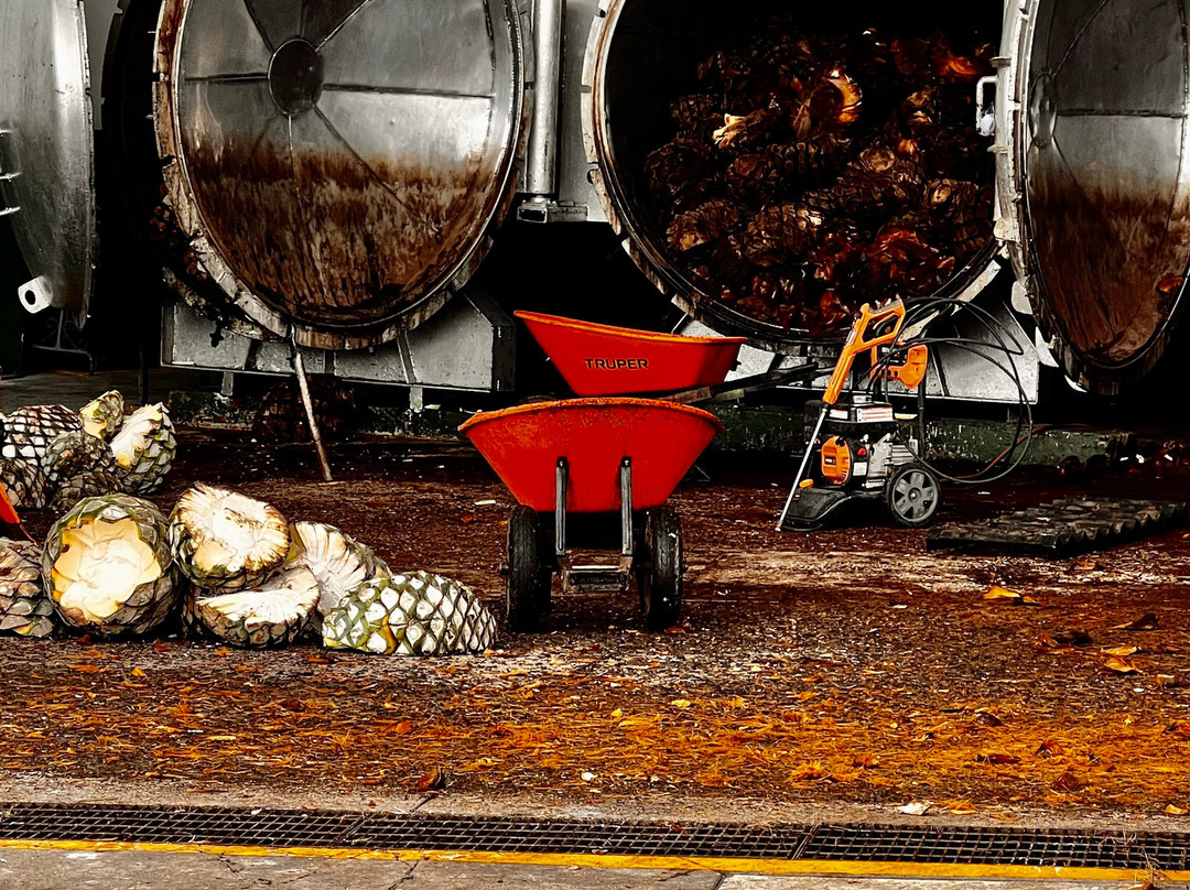 Casa Salles Hotel Boutique主图