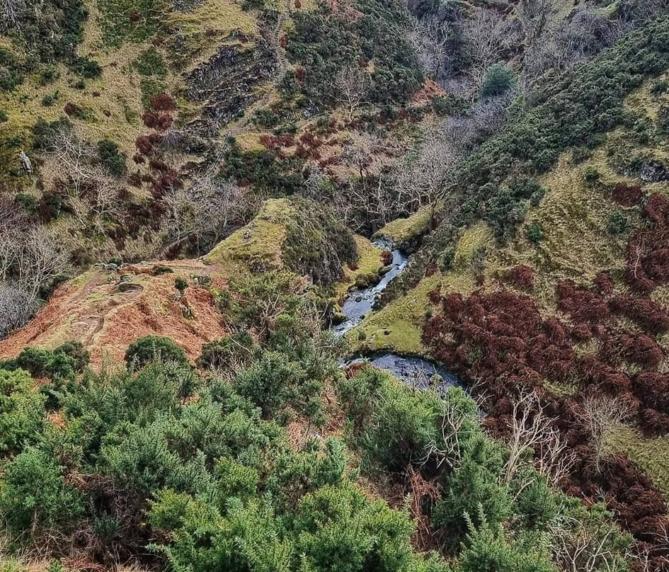 Gartmorn Dam Country Park & Nature Reserve-Alloa必去景点