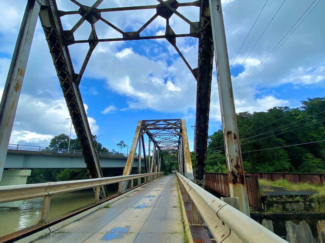 Portland Experience-Rio Grande Rafting Jamaica景点图片