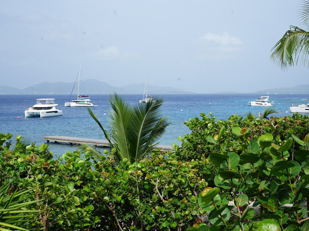 Cooper Island Beach Club Hotel主图