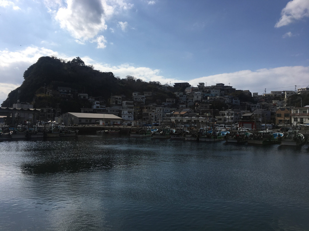 Cape Saikazaki景点图片